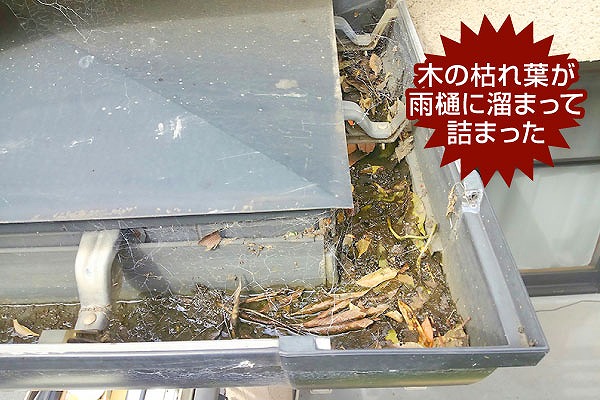 雨樋の詰まりの原因