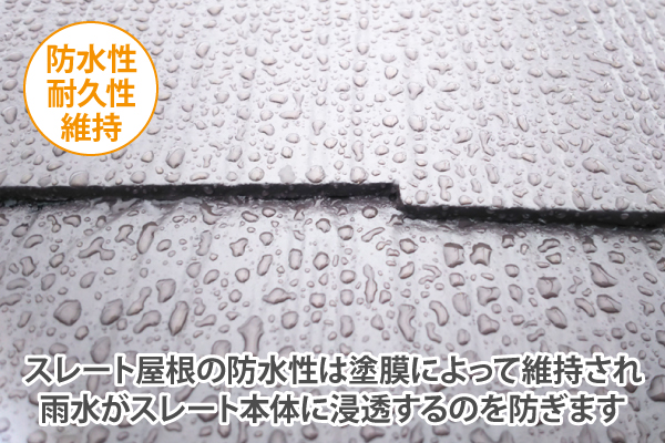 屋根メンテナンス　屋根塗装を実施しました♪