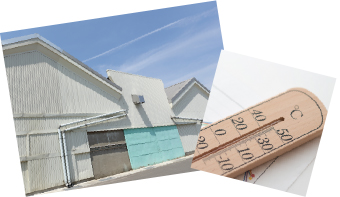 ガルバリウム鋼板を取り付け