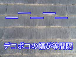 パミール見分け方