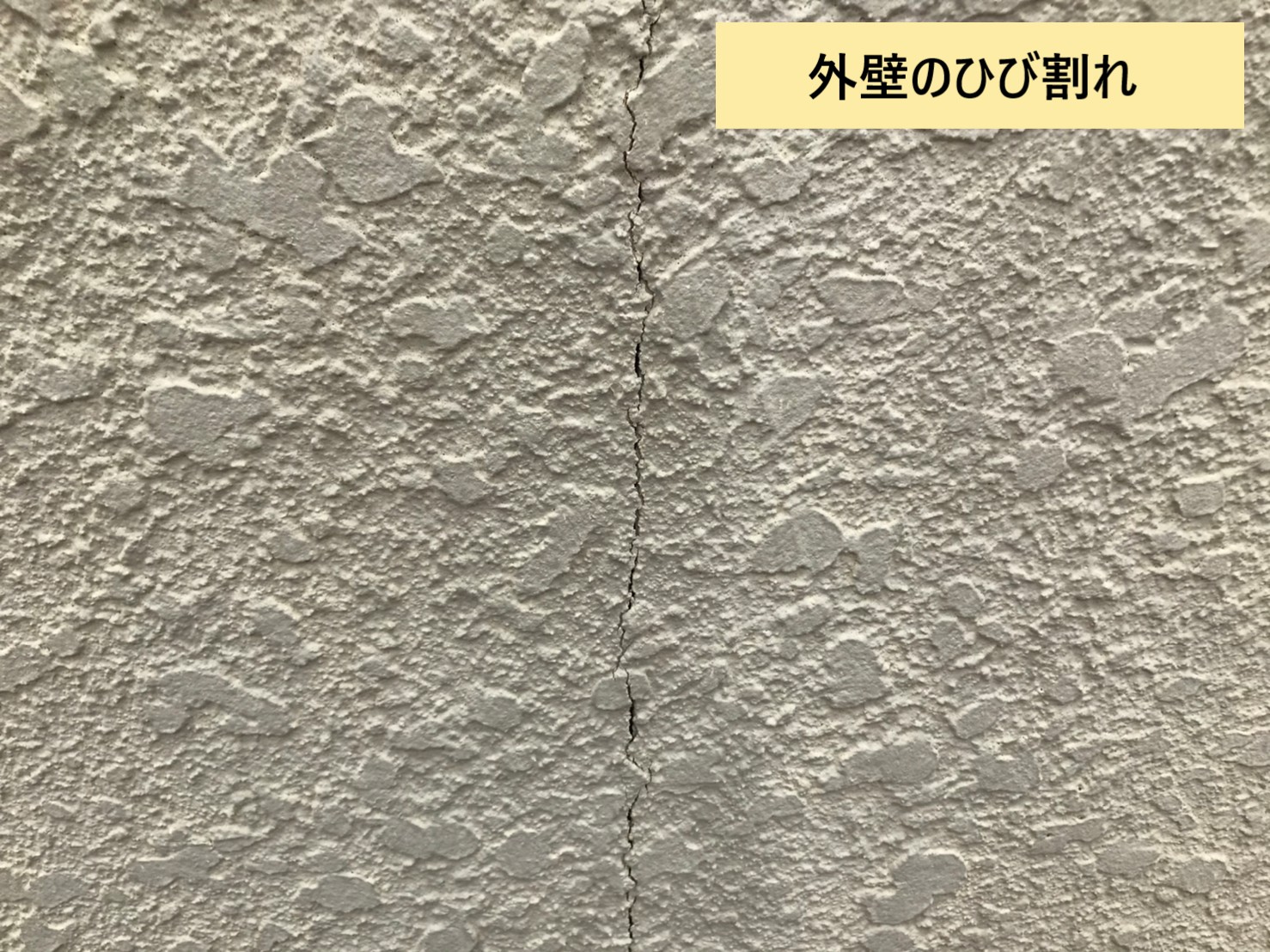 ひび割れ
