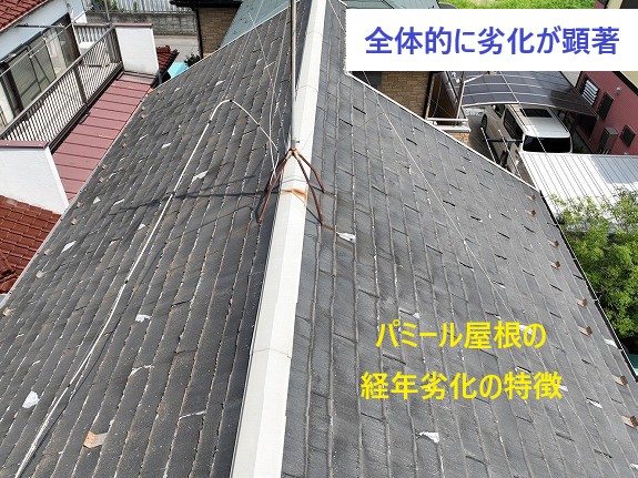 劣化したパミール屋根全景