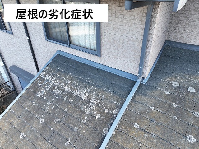 屋根の劣化