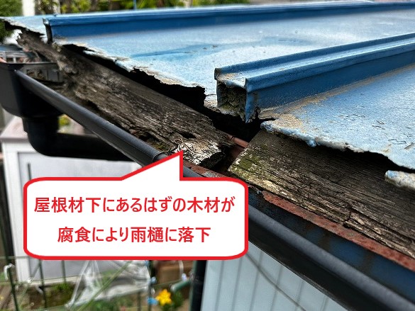 屋根材下の木材が腐食により雨樋に落下