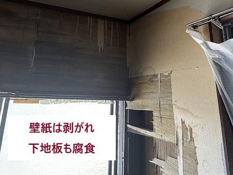壁紙剥がれ、下地板の腐食