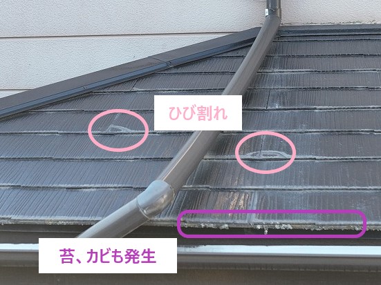 ひび割れ、苔・カビも発生