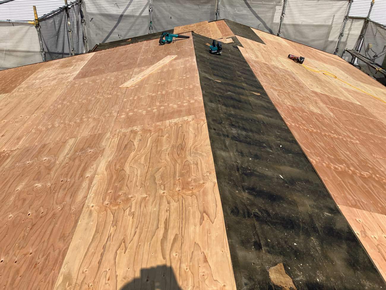 コンパネ 針葉樹12mm