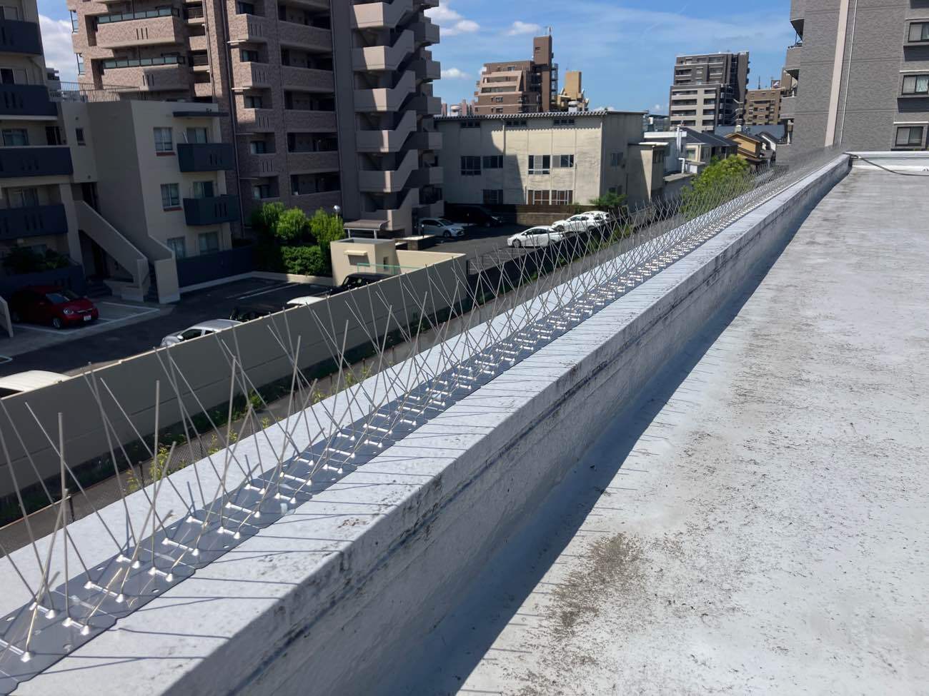 バードピン　鳥害対策工事　施工後