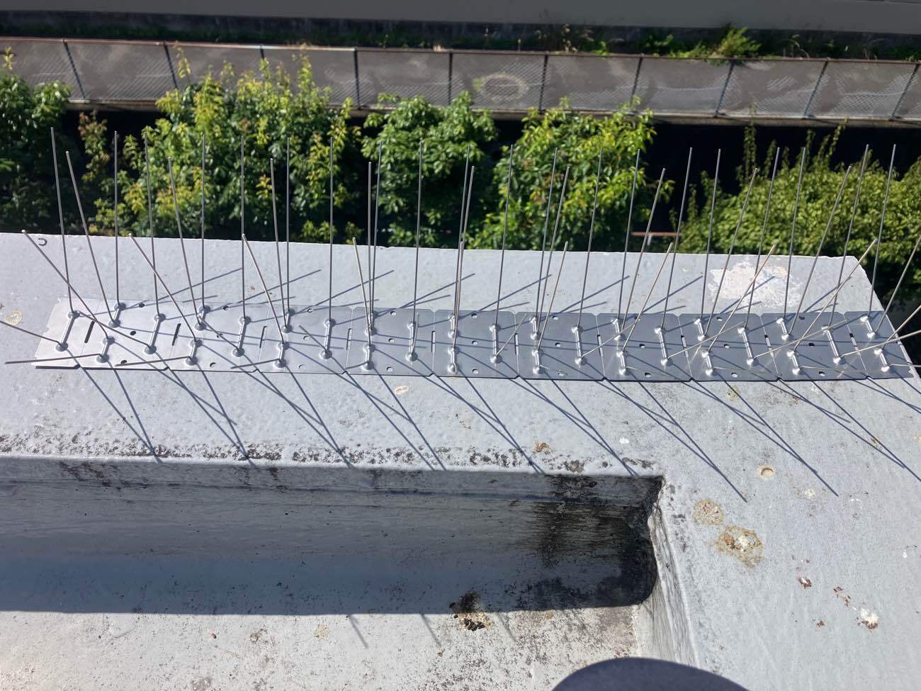 バードピン並べ　取り付け前