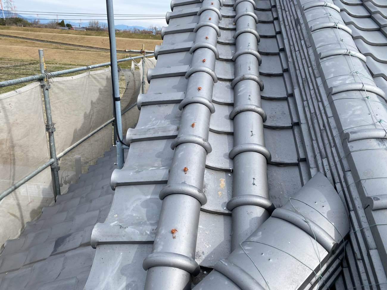 仕上がり確認と棟まわりの最終チェック