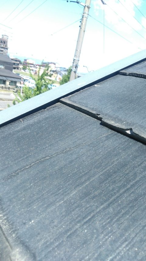 カラーベスト