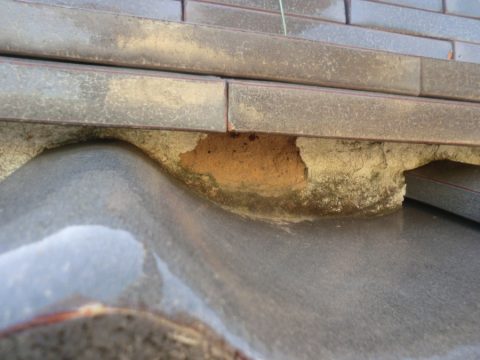漆喰