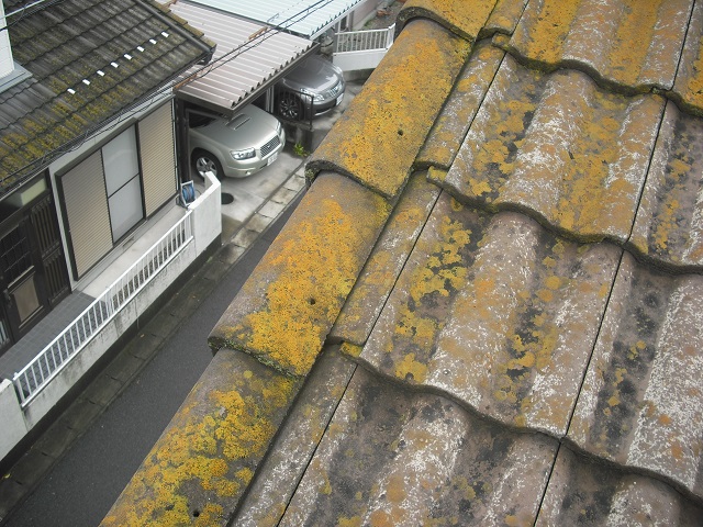 モニエル瓦現場調査