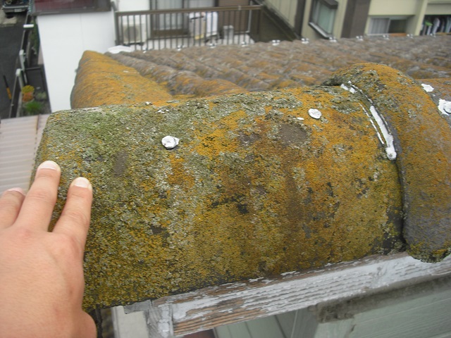 モニエル瓦現場調査