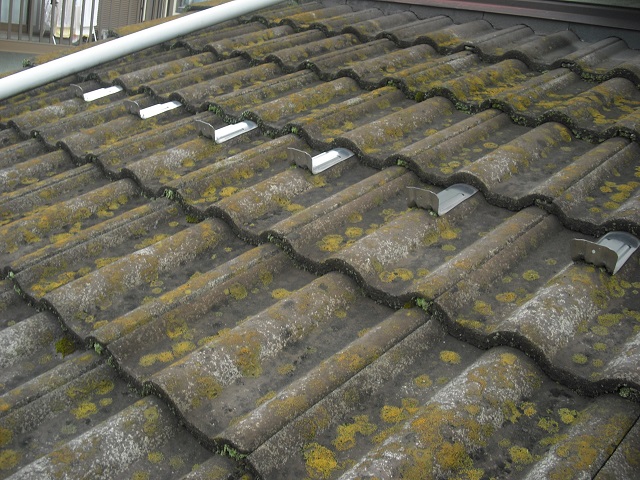 モニエル瓦現場調査