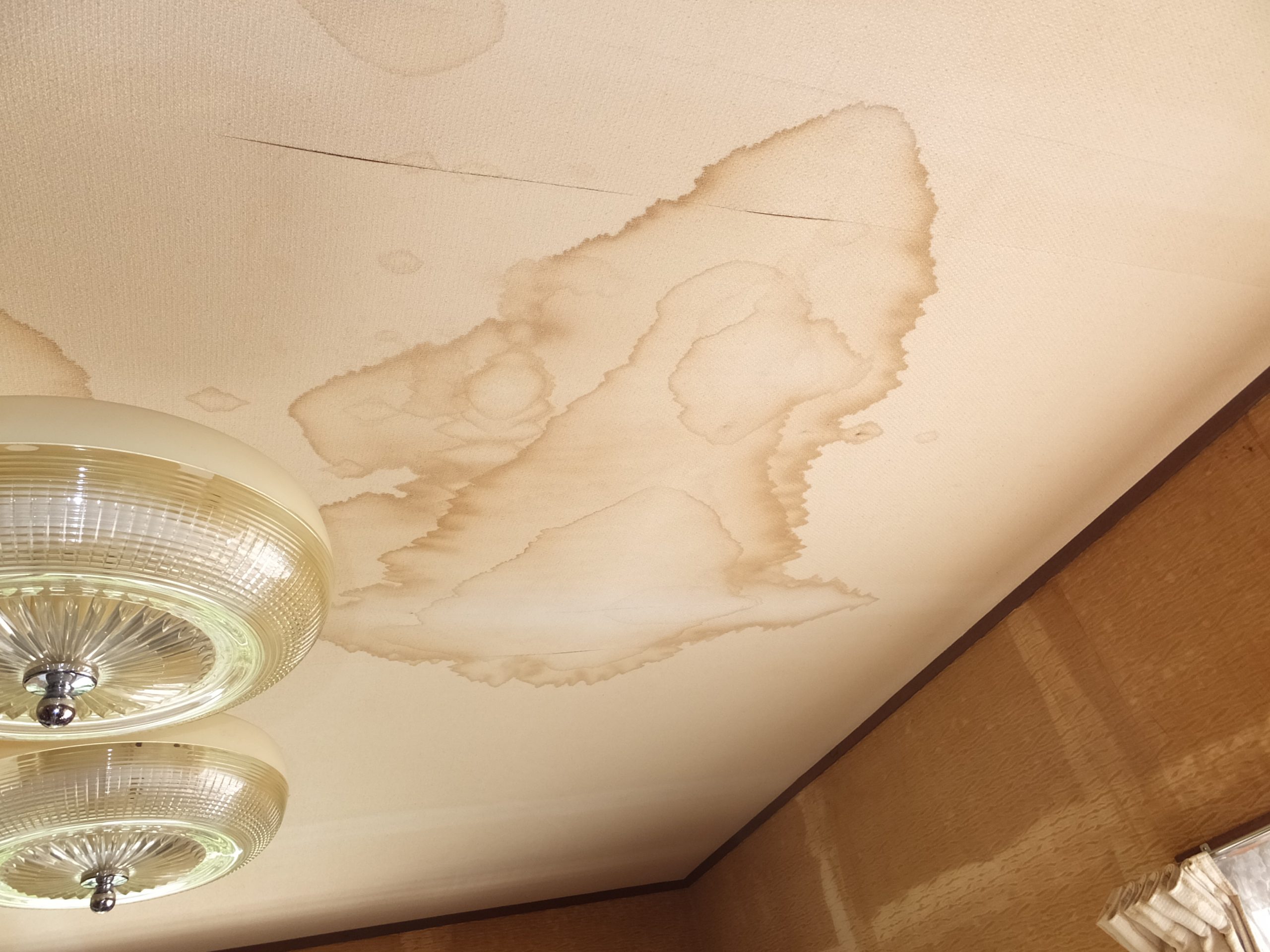 室内天井に広がった雨染み(1枚目)