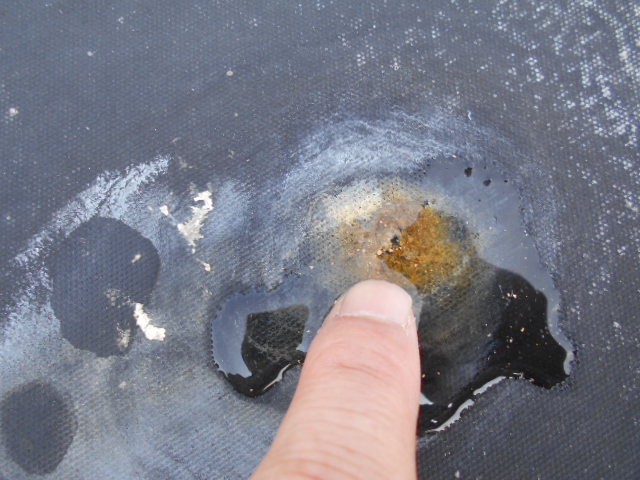 シート防水の雨漏り