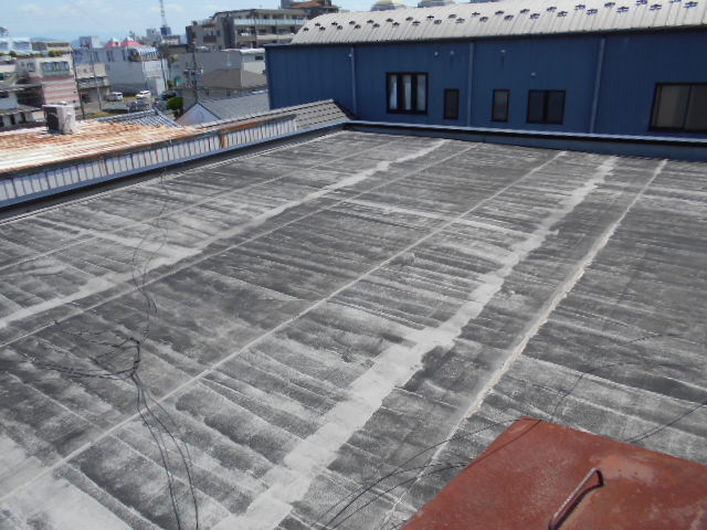 シート防水現場調査