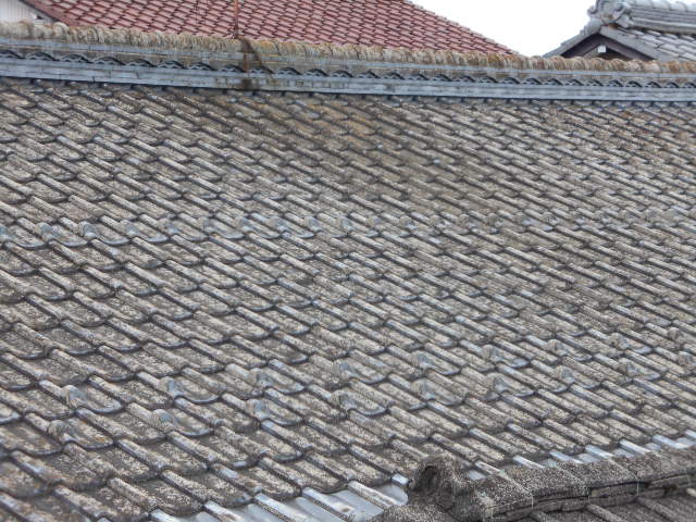 セメント瓦現場点検