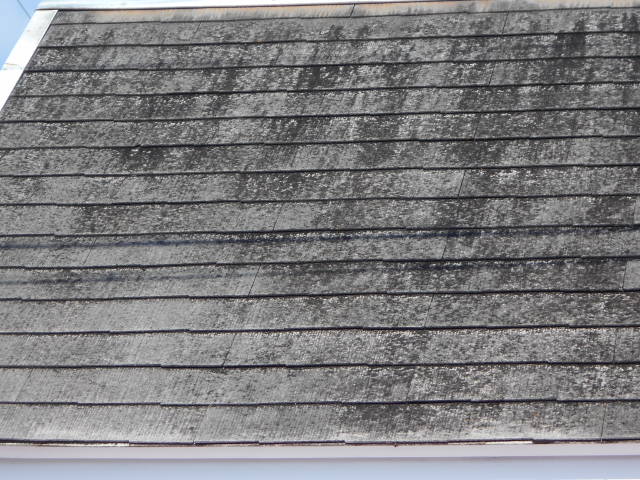 カラーベスト屋根現場調査