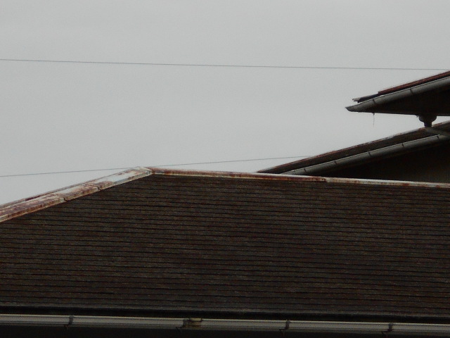 カラーベストの塗膜の剥離