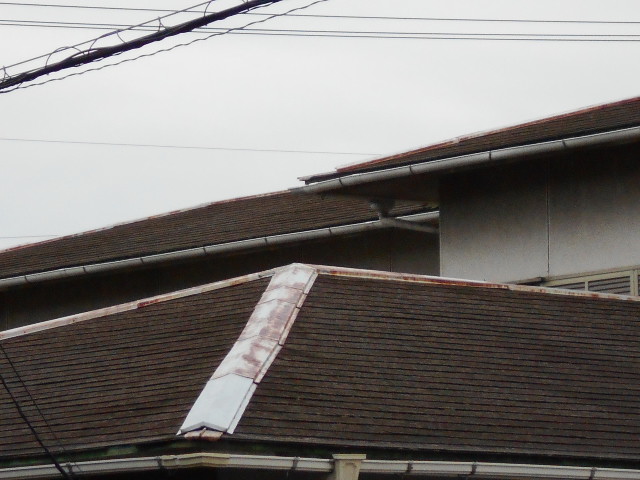 カラーベスト点検