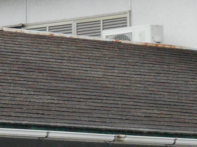 カラーベスト現場点検