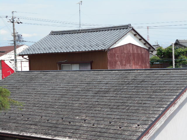 カラーベスト現場点検