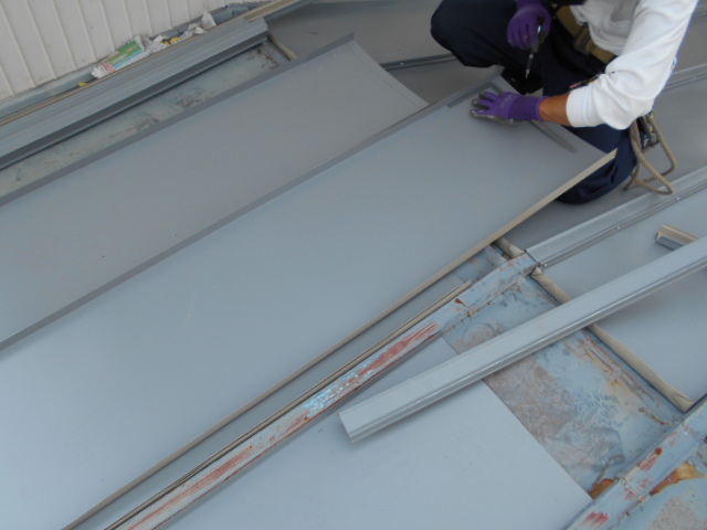 ガルバリウム鋼板