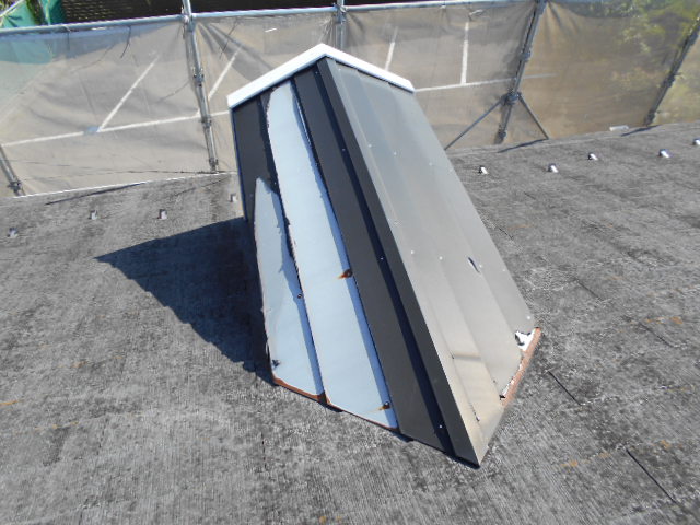 カラーベスト点検