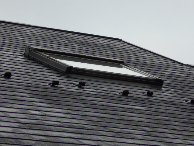 カラーベスト点検