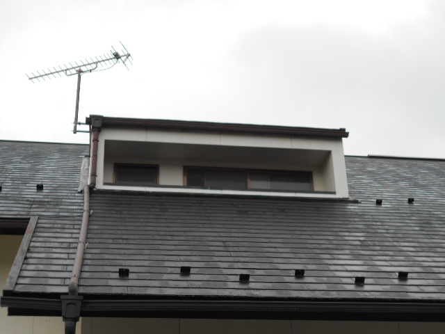 カラーベスト点検