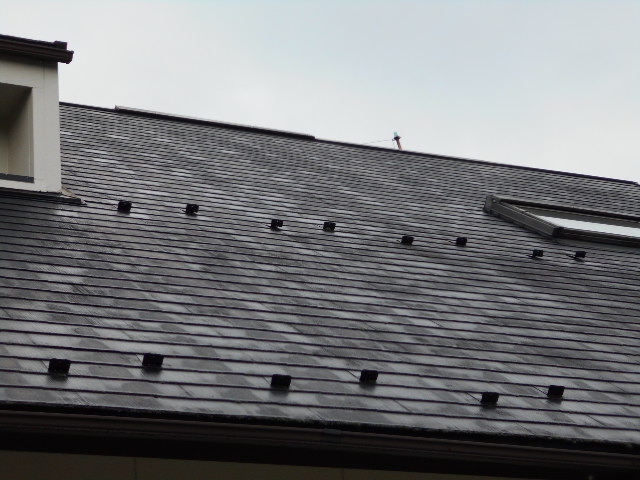 カラーベスト現場点検