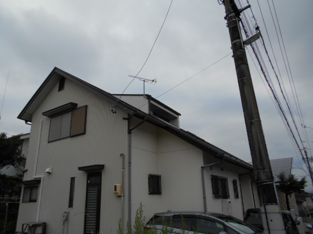 カラーベスト点検