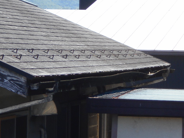 屋根現場調査