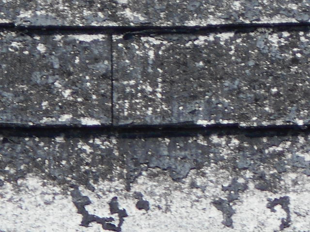 カラーベスト屋根現場調査