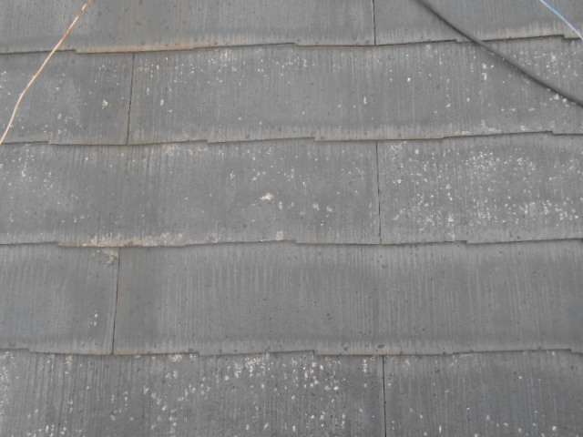 カラーベスト屋根