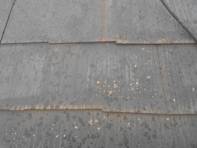 カラーベスト屋根