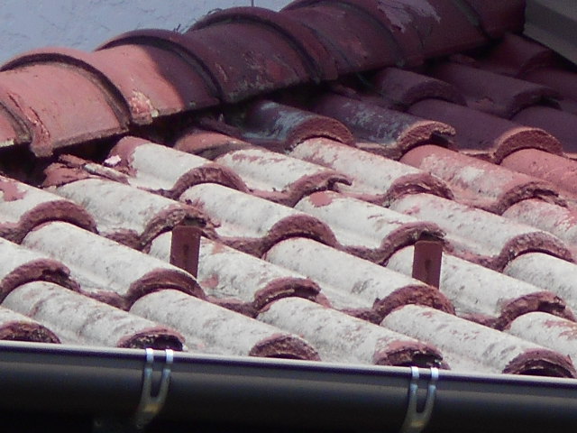 モニエル瓦屋根現場調査