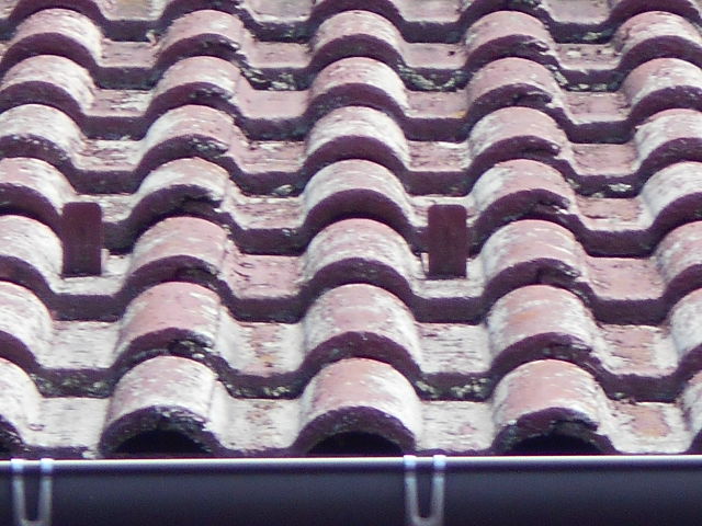 モニエル瓦屋根現場調査