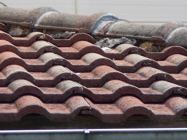 モニエル瓦屋根現場調査