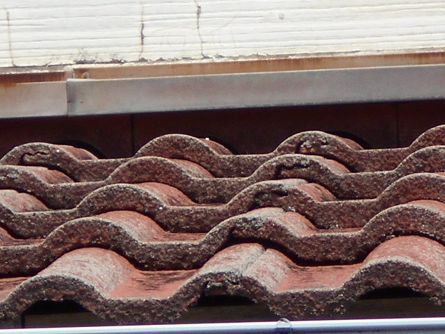 モニエル瓦屋根現場調査