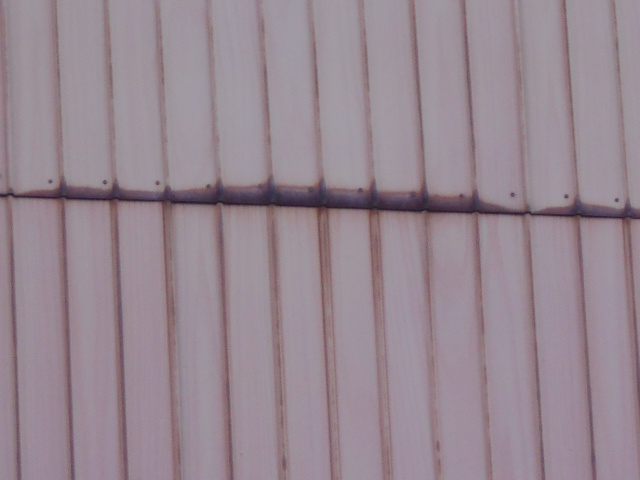 トタン現場調査