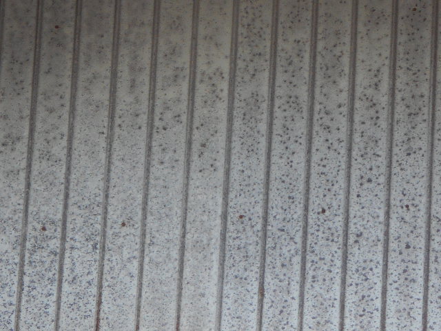 トタン現場調査