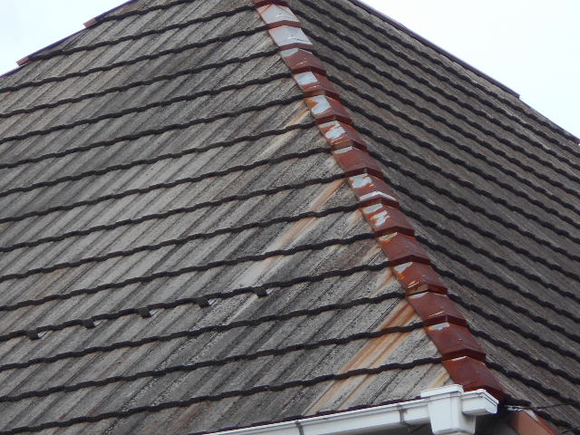 モニエル瓦屋根現場調査