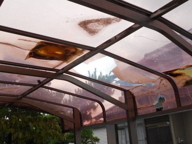 カーポート屋根現場調査