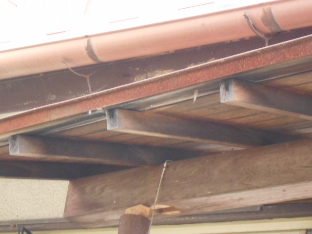 玄関屋根現場調査