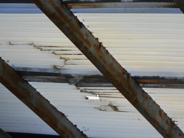 ポリカ波板現場調査