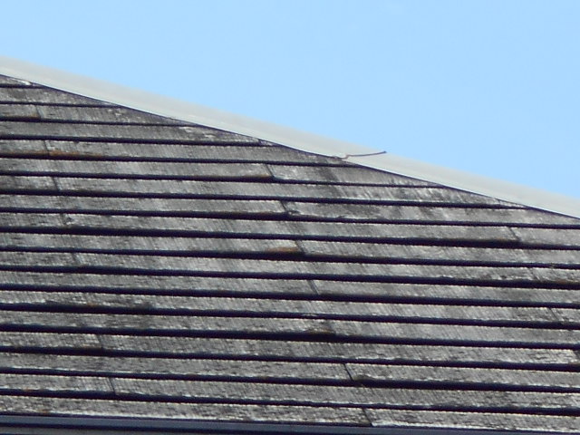 カラーベスト屋根現場調査