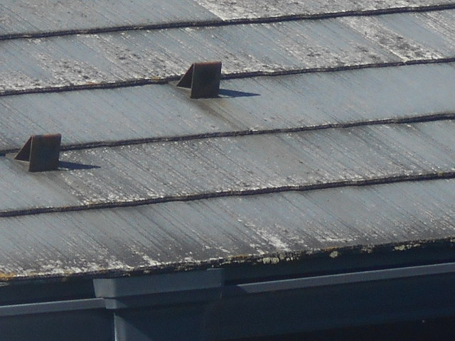 カラーベスト屋根